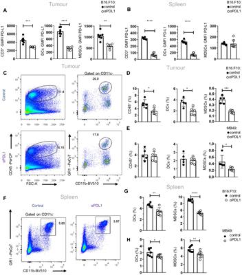 PD-L1 blockade immunotherapy rewires cancer-induced emergency myelopoiesis